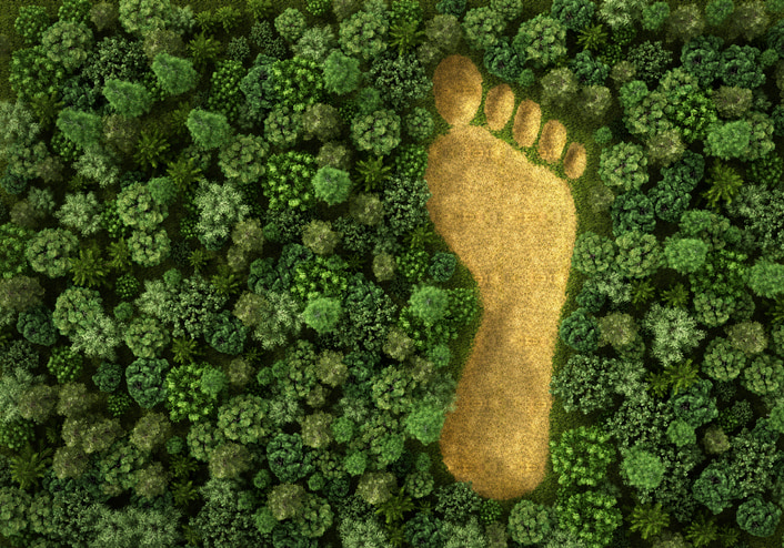 ökologischer Fußabdruck
